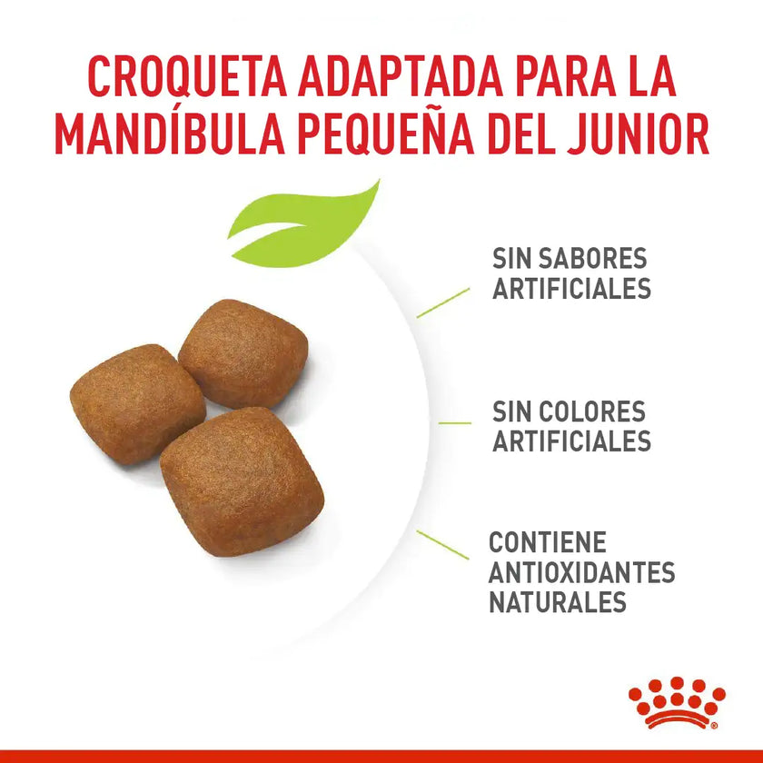 Alimento Royal Canin Shn Giant Adulto