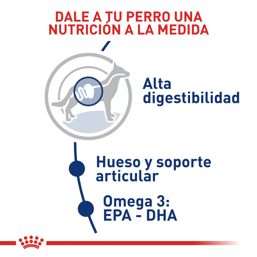 Alimento Royal Canin Shn Maxi Adulto - 4kg