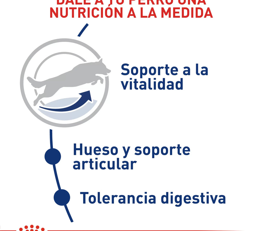 Alimento Royal Canin Shn Maxi Adulto  5+ 15Kg