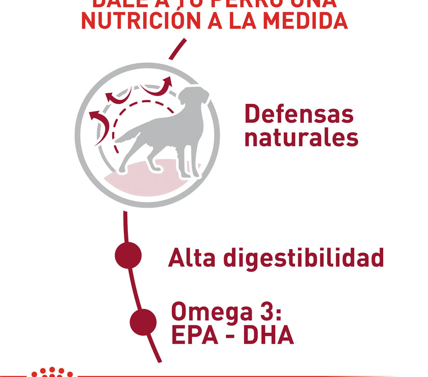Alimento Royal Canin Shn Medium Adulto