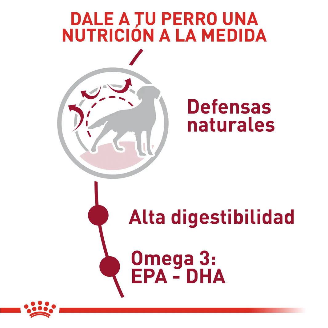 Alimento Royal Canin Shn Medium Adulto