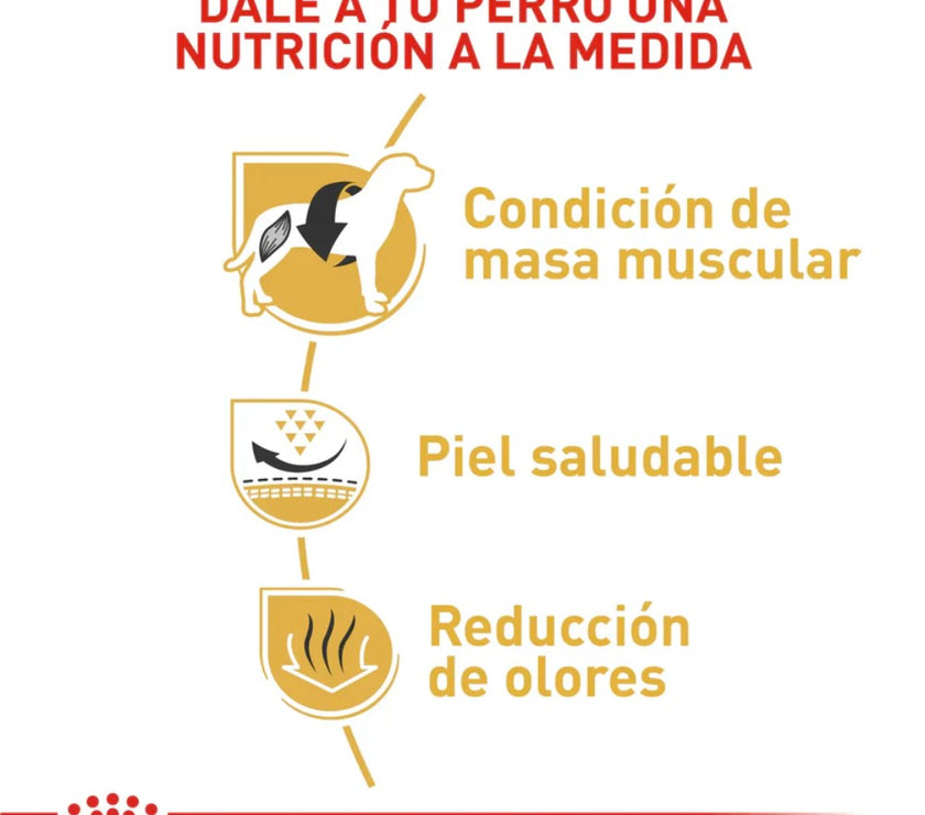 Alimento Royal Canin Bhn  Bulldog Frances Adulto x 3 Kg