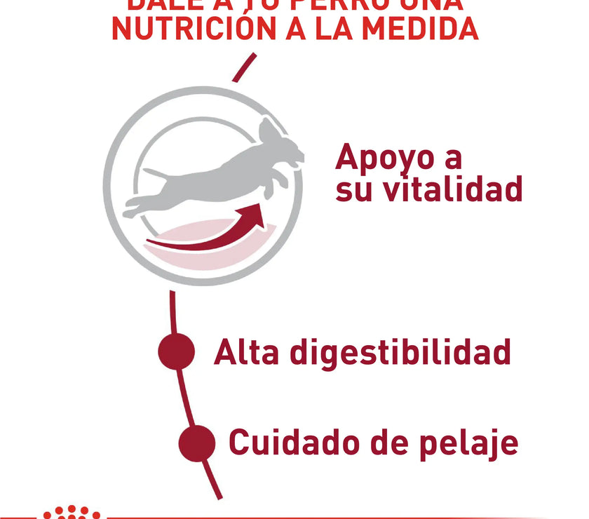 Alimento Royal Canin Shn Medium Adulto 7+ 4 Kg