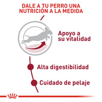 Alimento Royal Canin Shn Medium Adulto 7+ 4 Kg