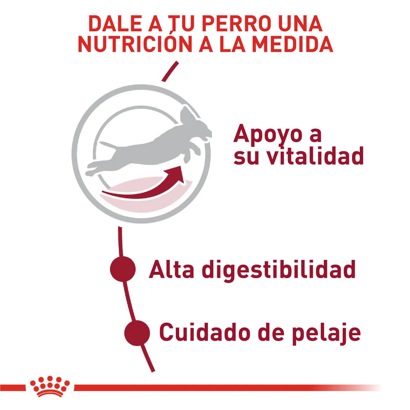 Alimento Royal Canin Shn Medium Adulto 7+ 4 Kg