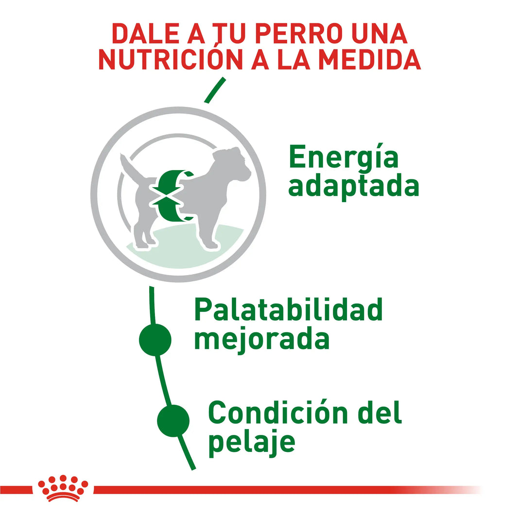 Alimento Royal Canin Shn Mini  Adulto