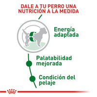 Alimento Royal Canin Shn Mini  Adulto