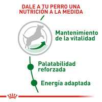 Alimento Royal Canin Shn Mini Mature 8+ 2Kg