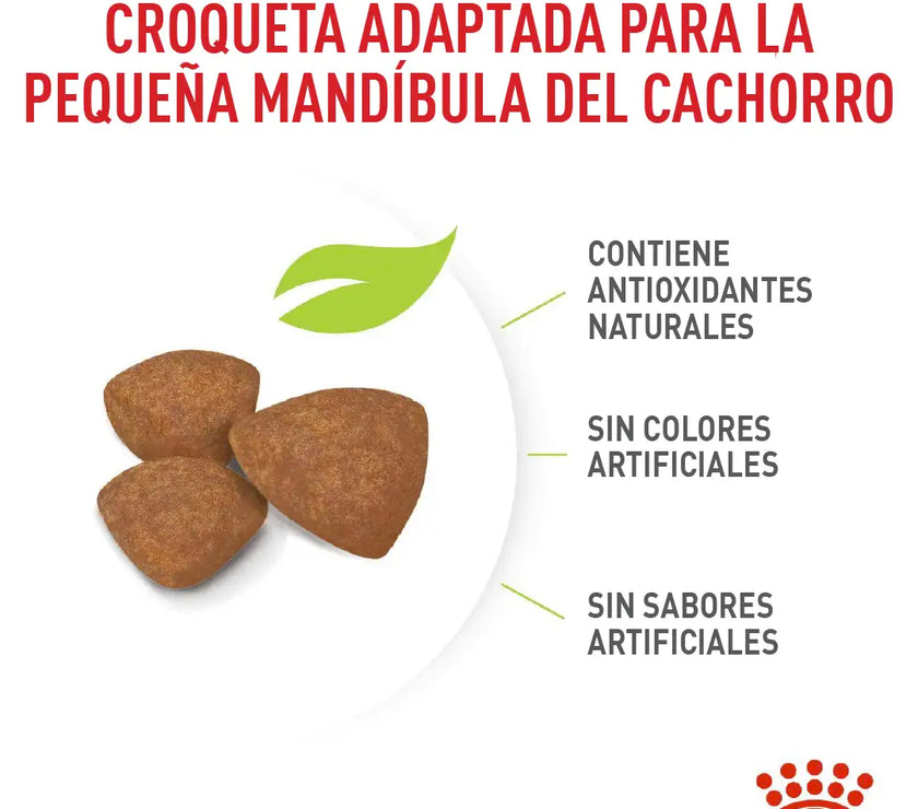 Alimento Royal Canin Shn Mini Puppy