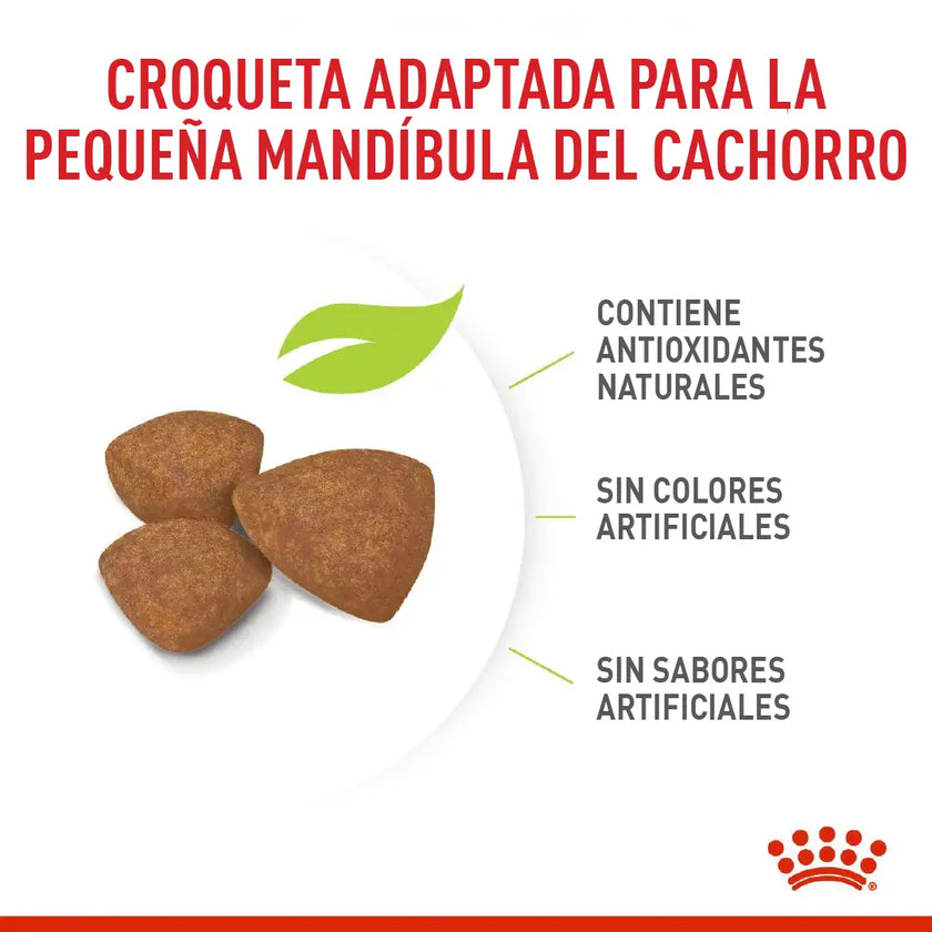Alimento Royal Canin Shn Mini Puppy