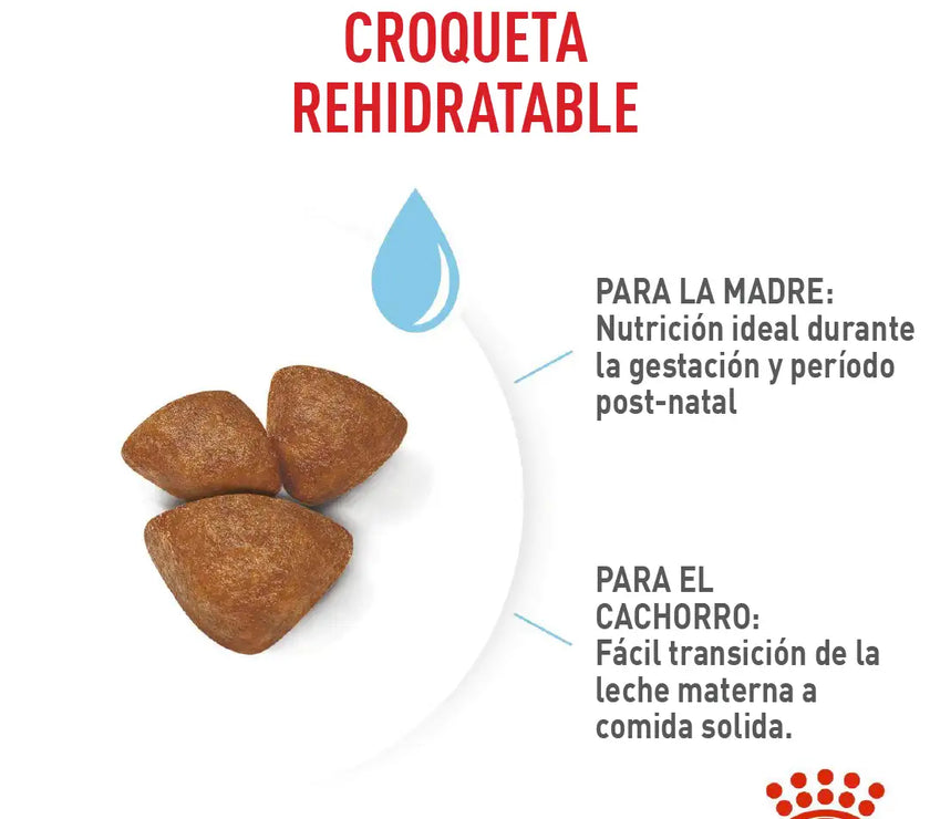 Alimento Royal Canin Shn Mini  Starter Mother & Baby Dog 1Kg