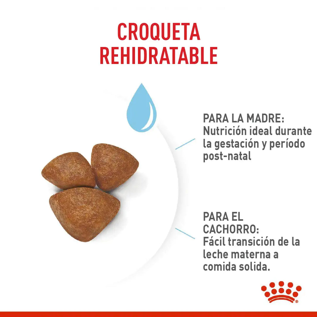 Alimento Royal Canin Shn Mini  Starter Mother & Baby Dog 1Kg