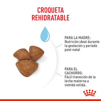 Alimento Royal Canin Shn Mini  Starter Mother & Baby Dog 1Kg