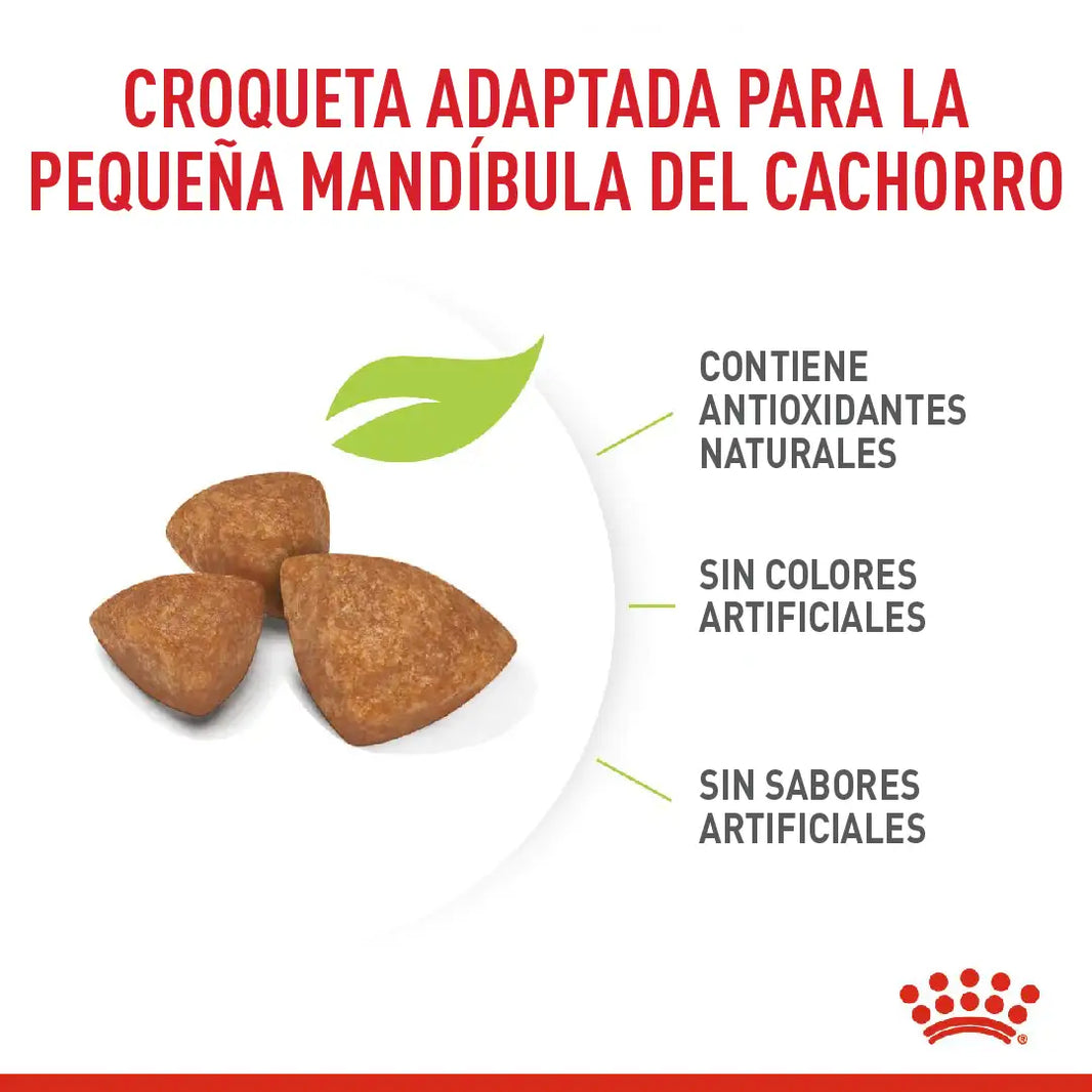 Alimento Royal Canin Shn X-Small Puppy 1.5 Kg