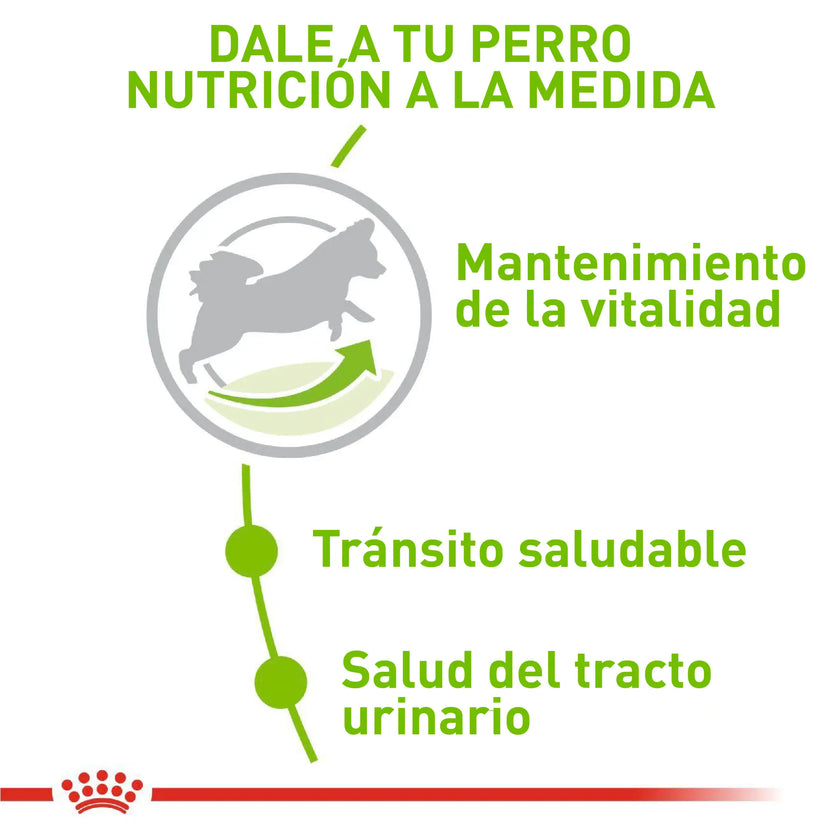 Comida Para Perro Royal Canin Shn X-Small Adulto  8+ 1.5 Kg
