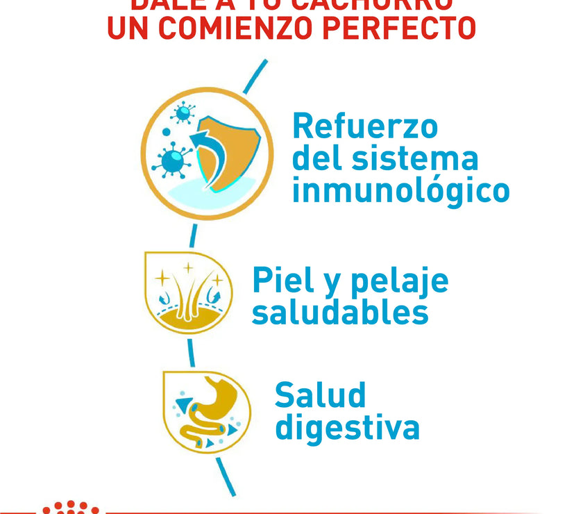 Alimento Royal Canin Bhn Cocker Puppy x 3 Kg