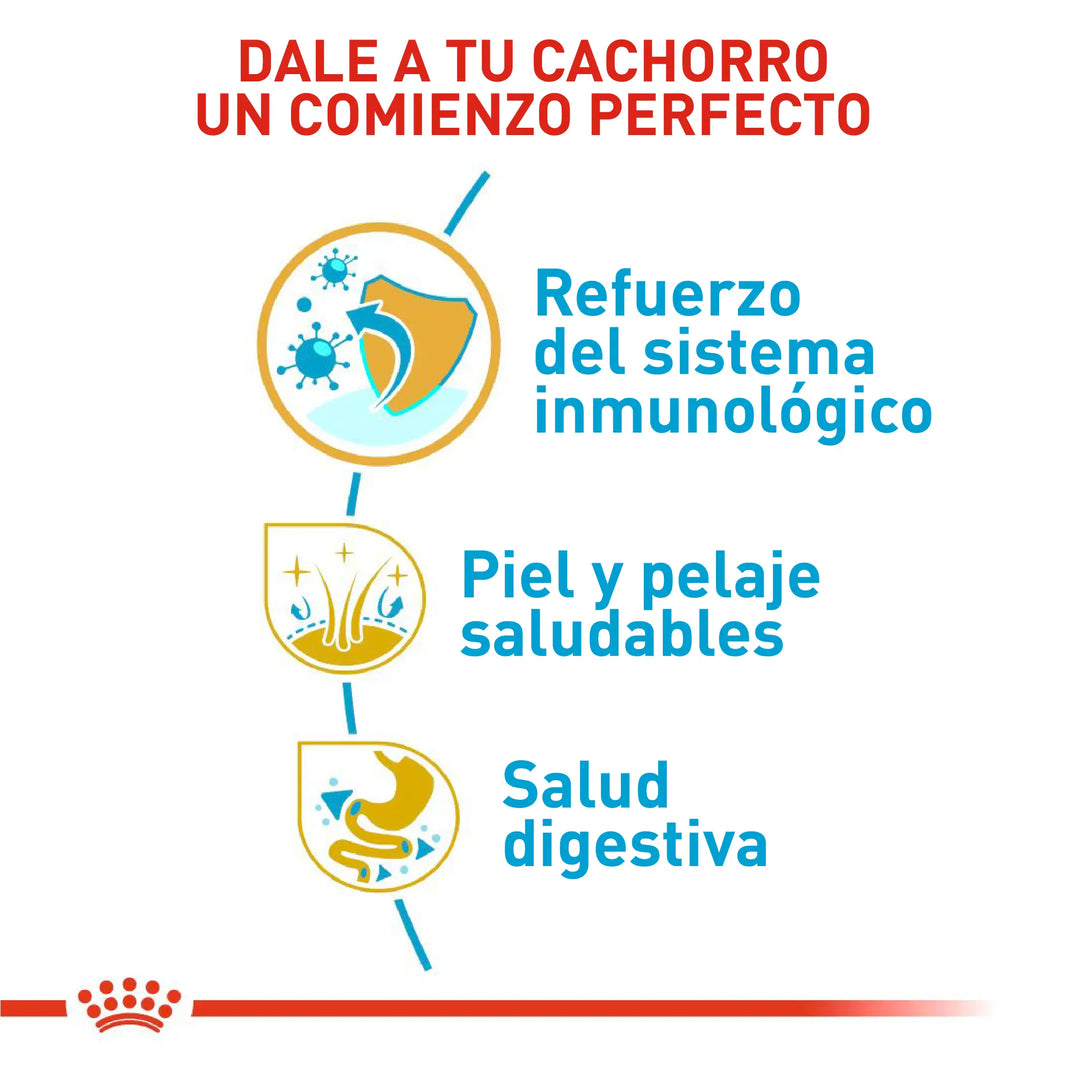 Alimento Royal Canin Bhn Cocker Puppy x 3 Kg