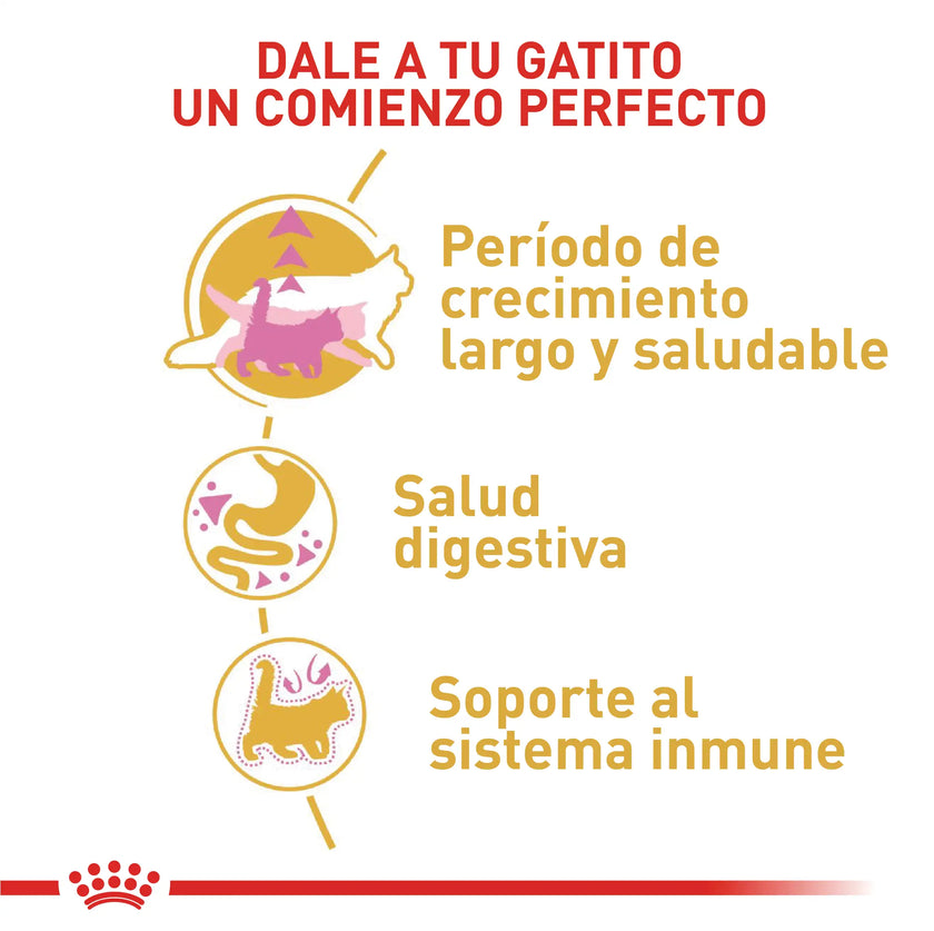 Alimento Royal Canin Fbn Maine Coon Kitten 4 Kg