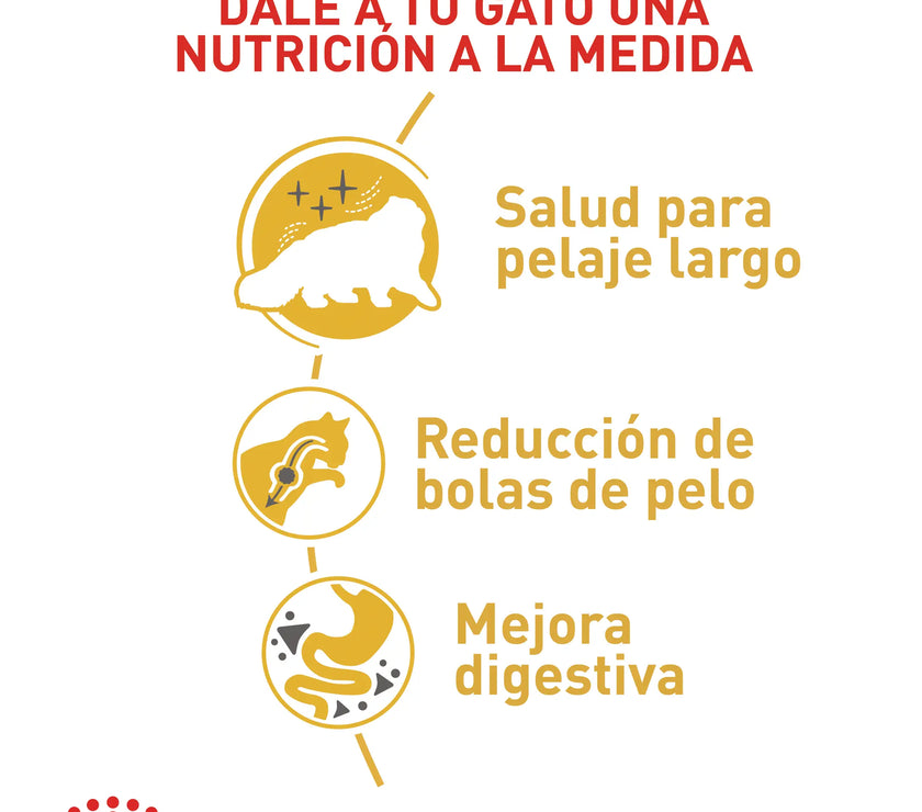 Alimento Royal Canin Fbn Persian Adulto