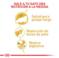 Alimento Royal Canin Fbn Persian Adulto