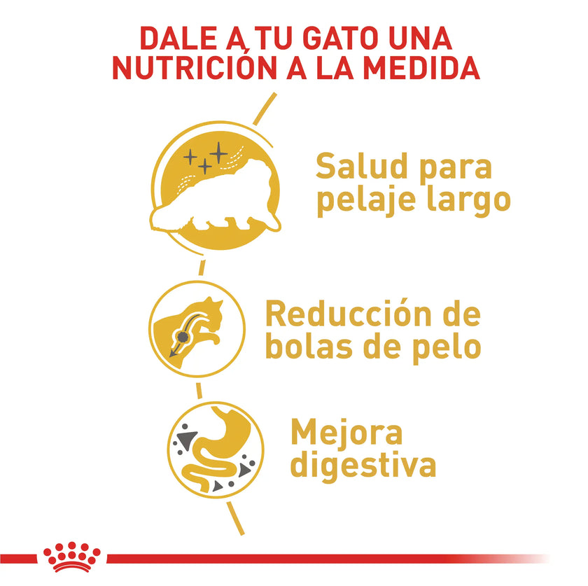 Alimento Royal Canin Fbn Persian Adulto