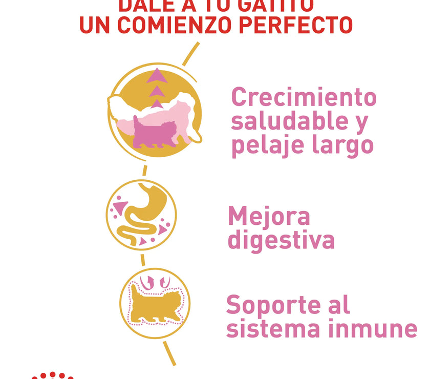 Alimento Royal Canin Fbn Persian Kitten 2 Kg