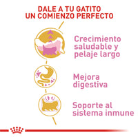 Alimento Royal Canin Fbn Persian Kitten 2 Kg