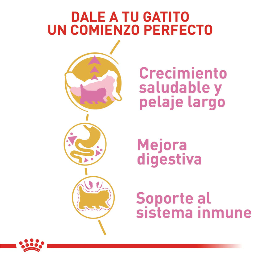 Alimento Royal Canin Fbn Persian Kitten 2 Kg