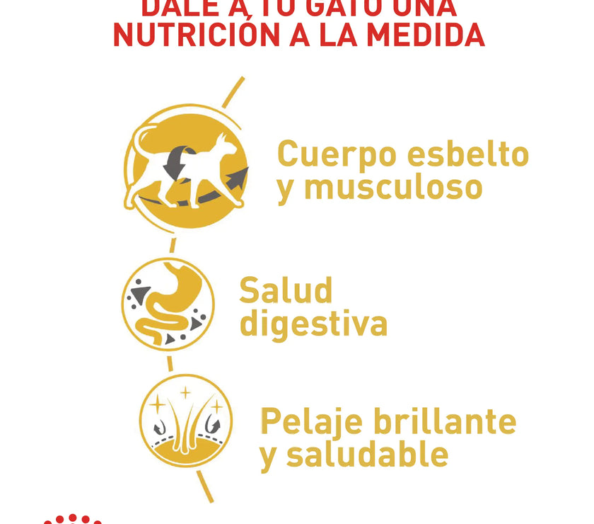 Alimento Royal Canin Fbn Siamese Adulto 2 Kg