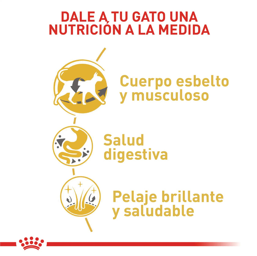 Alimento Royal Canin Fbn Siamese Adulto 2 Kg