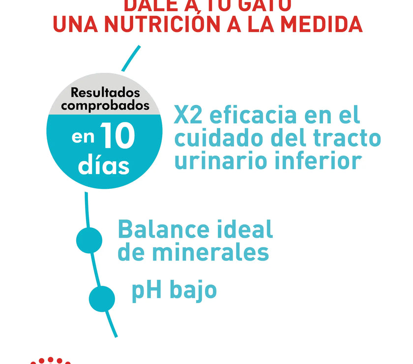 Alimento Royal Canin Fcn Urinary Care Cat 2Kg