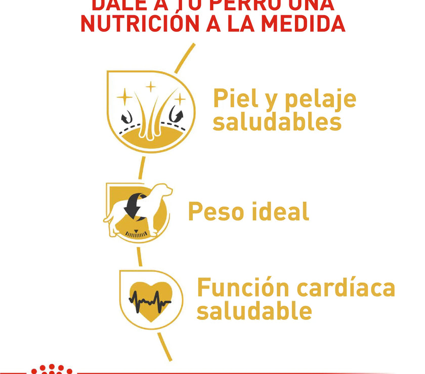 Alimento Royal Canin Bhn Cocker Adulto x 3 Kg