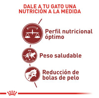 Alimento Royal Canin Fhn Adult Fit