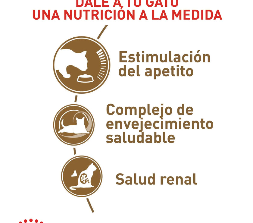 Alimento Royal Canin Fhn Ageing 12+ 2Kg