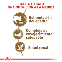 Alimento Royal Canin Fhn Ageing 12+ 2Kg