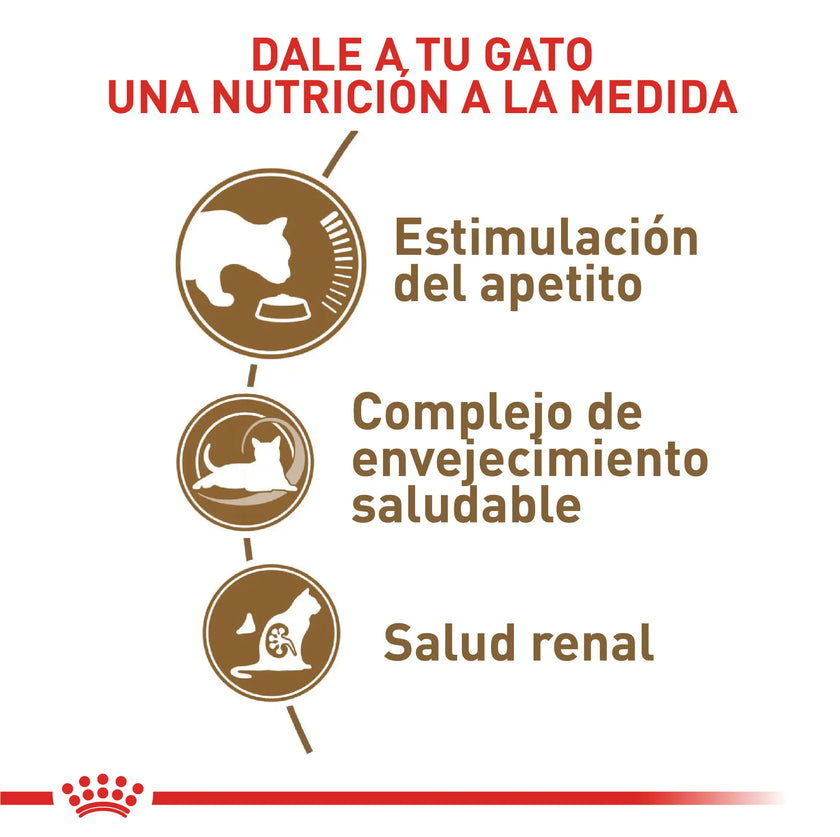 Alimento Royal Canin Fhn Ageing 12+ 2Kg