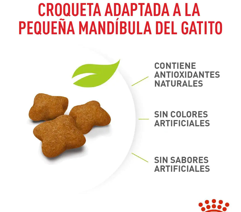 Alimento Royal Canin Fhn Kitten Esterilizado