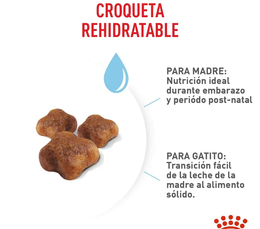Alimento Royal Canin Fhn Mother&Babycat
