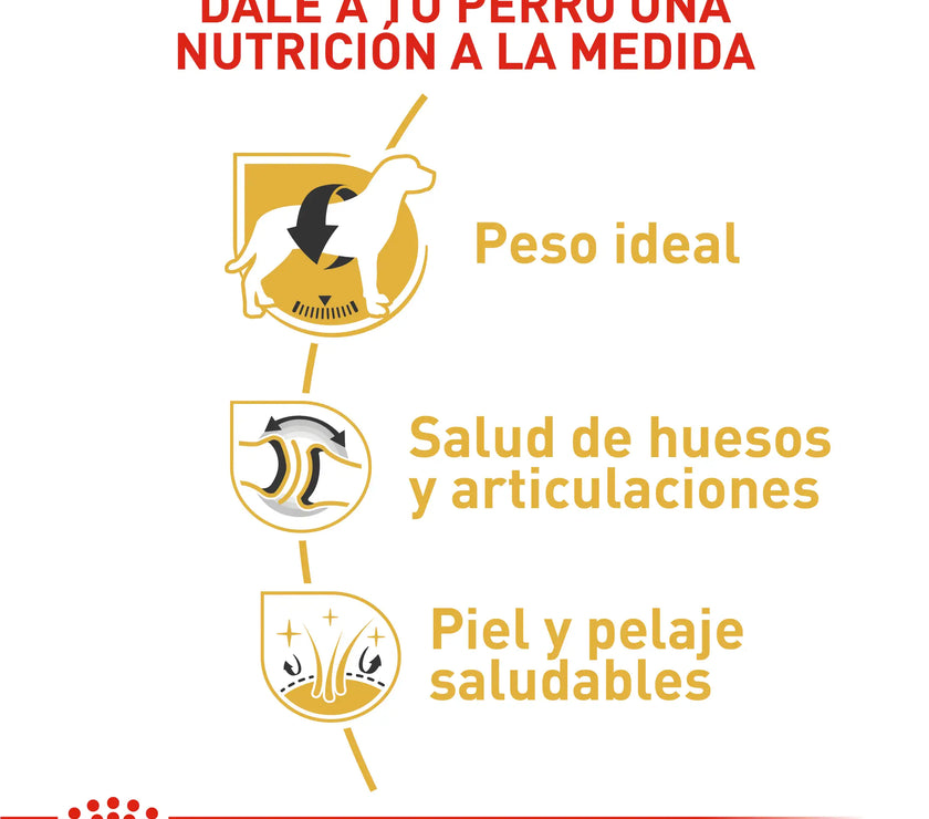 Alimento Royal Canin Bhn Labrador Adulto 13.6 Kg