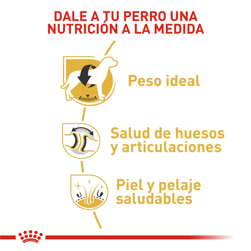 Alimento Royal Canin Bhn Labrador Adulto 13.6 Kg