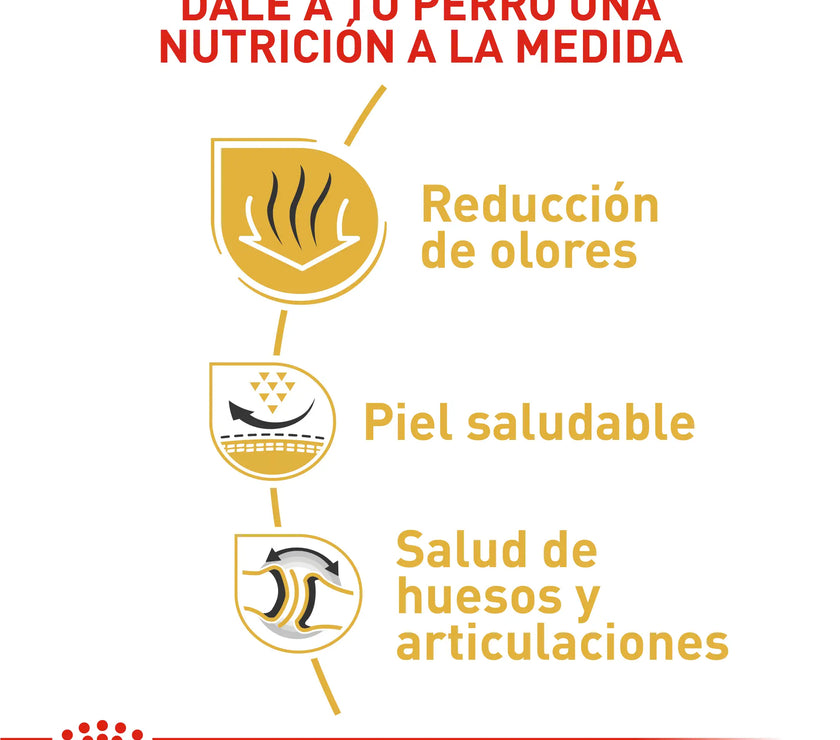 Alimento Royal Canin Bhn Bulldog Ingles Adulto