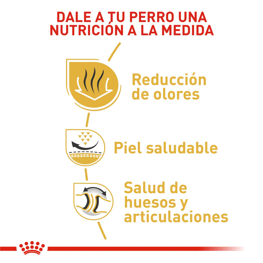 Alimento Royal Canin Bhn Bulldog Ingles Adulto