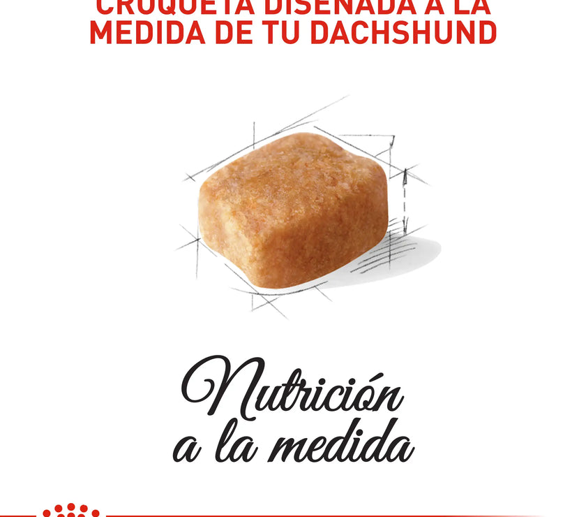 Alimento Royal Canin Bhn Dachshund Adulto x 1.5 Kg