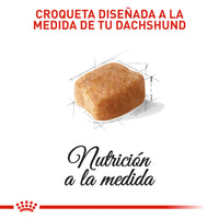 Alimento Royal Canin Bhn Dachshund Adulto x 1.5 Kg