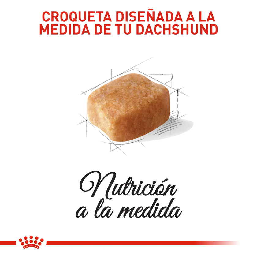 Alimento Royal Canin Bhn Dachshund Adulto x 1.5 Kg