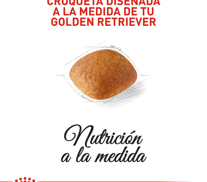 Alimento Royal Canin Bhn Golden Retriever Adulto x 13.6 Kg