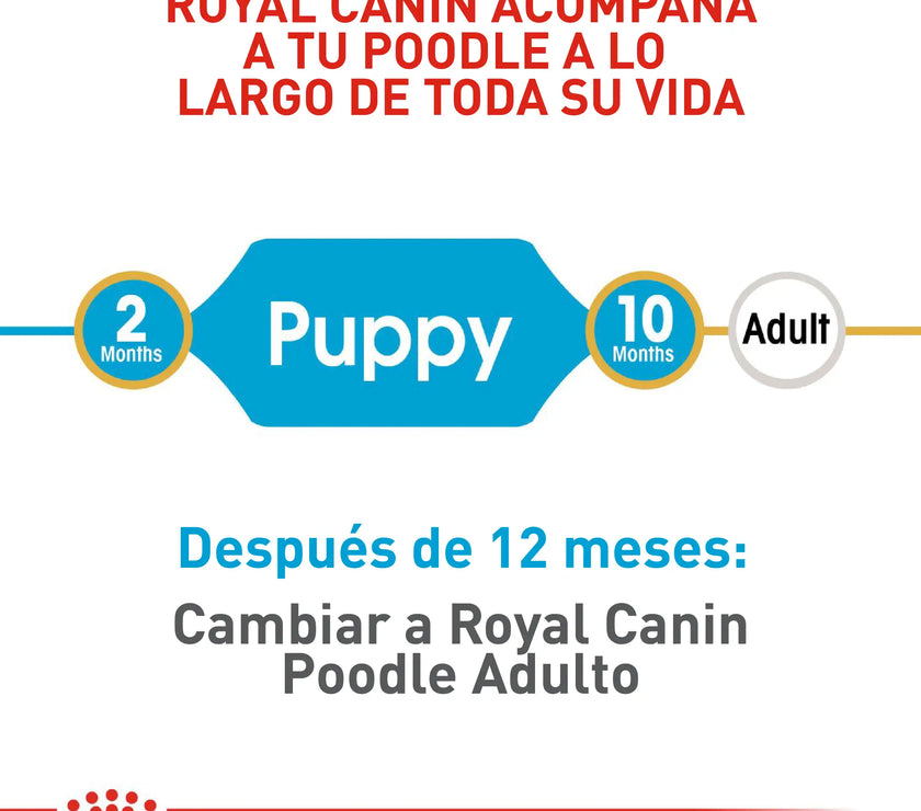 Alimento Royal Canin Bhn Poodle Puppy x 3 Kg