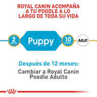 Alimento Royal Canin Bhn Poodle Puppy x 3 Kg