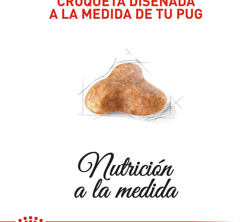 Alimento Royal Canin Bhn Pug Adulto x 3 Kg