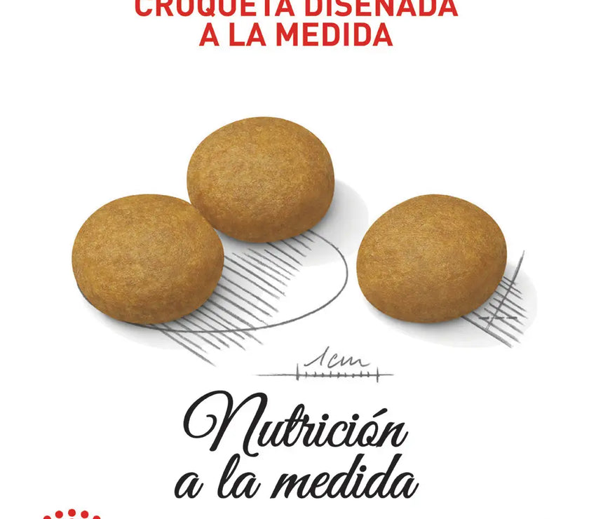 Alimento Royal Canin Ccn Medium Derma 3Kg